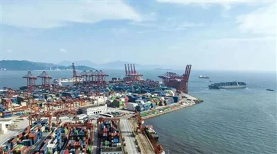 糸産業の開発動向